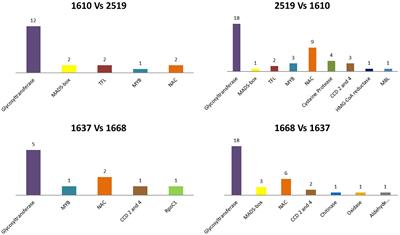 Epigenetic Variability Among Saffron Crocus (Crocus sativus L.) Accessions Characterized by Different Phenotypes